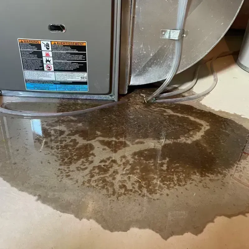 Appliance Leak Cleanup in Carlsbad, NM